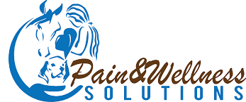Pain & Wellness Solutions