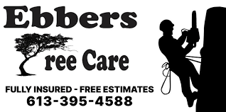 Ebbers Tree Care