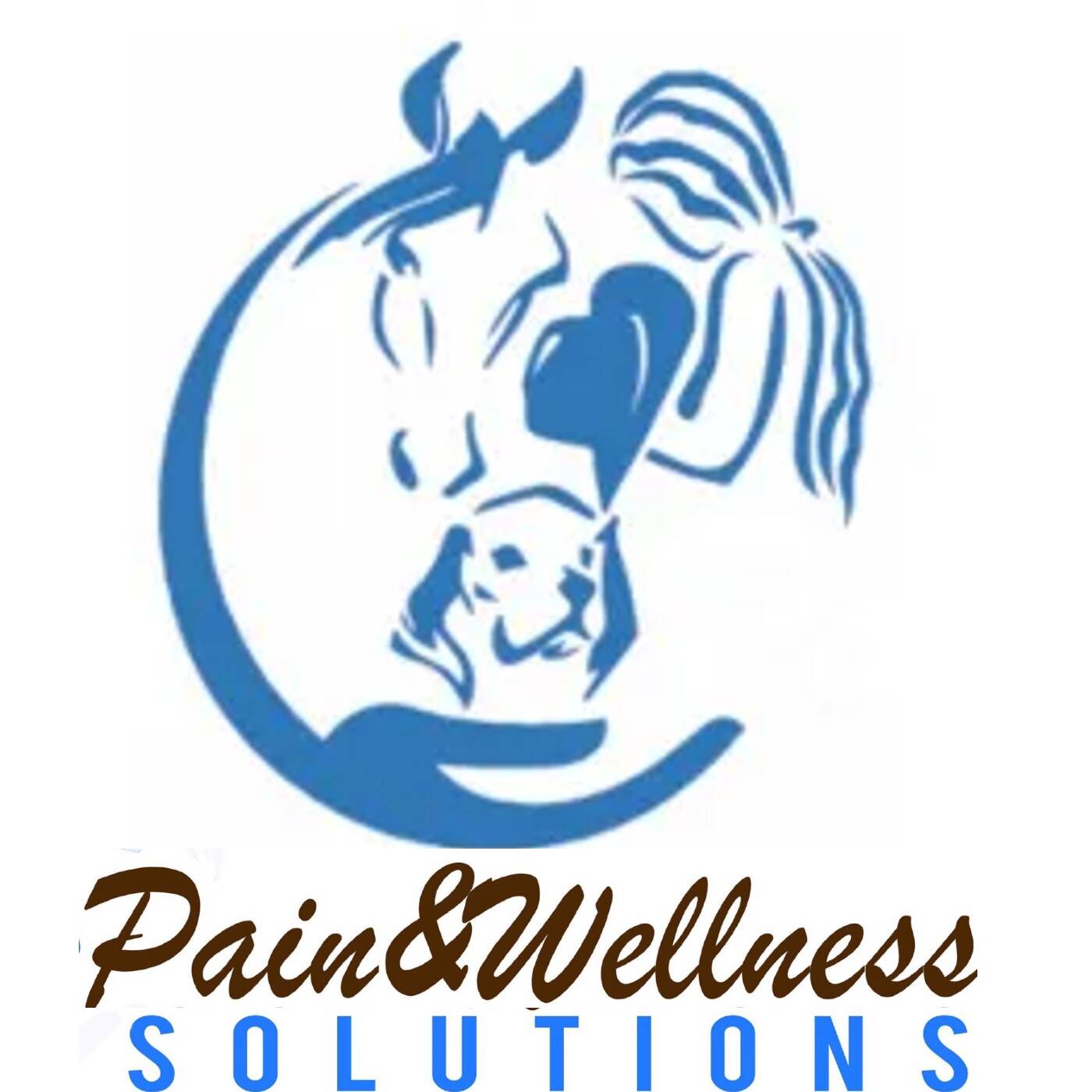 Pain & Wellness Solutions