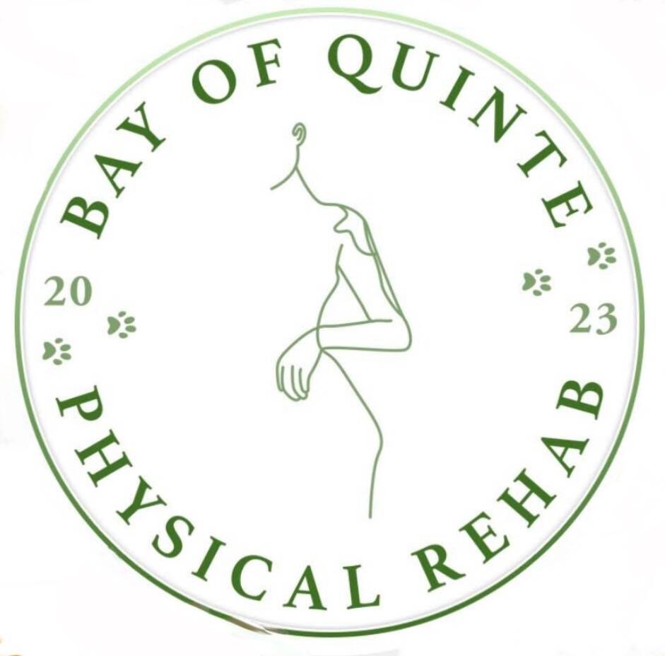 Bay of Quinte Physical Rehab